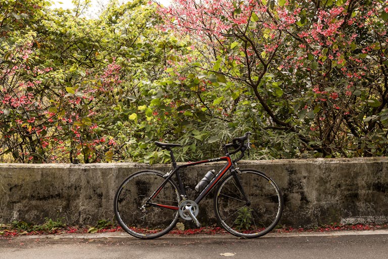 A sleek road bike parked on a path next to colorful flowering trees in Taipei, Taiwan.